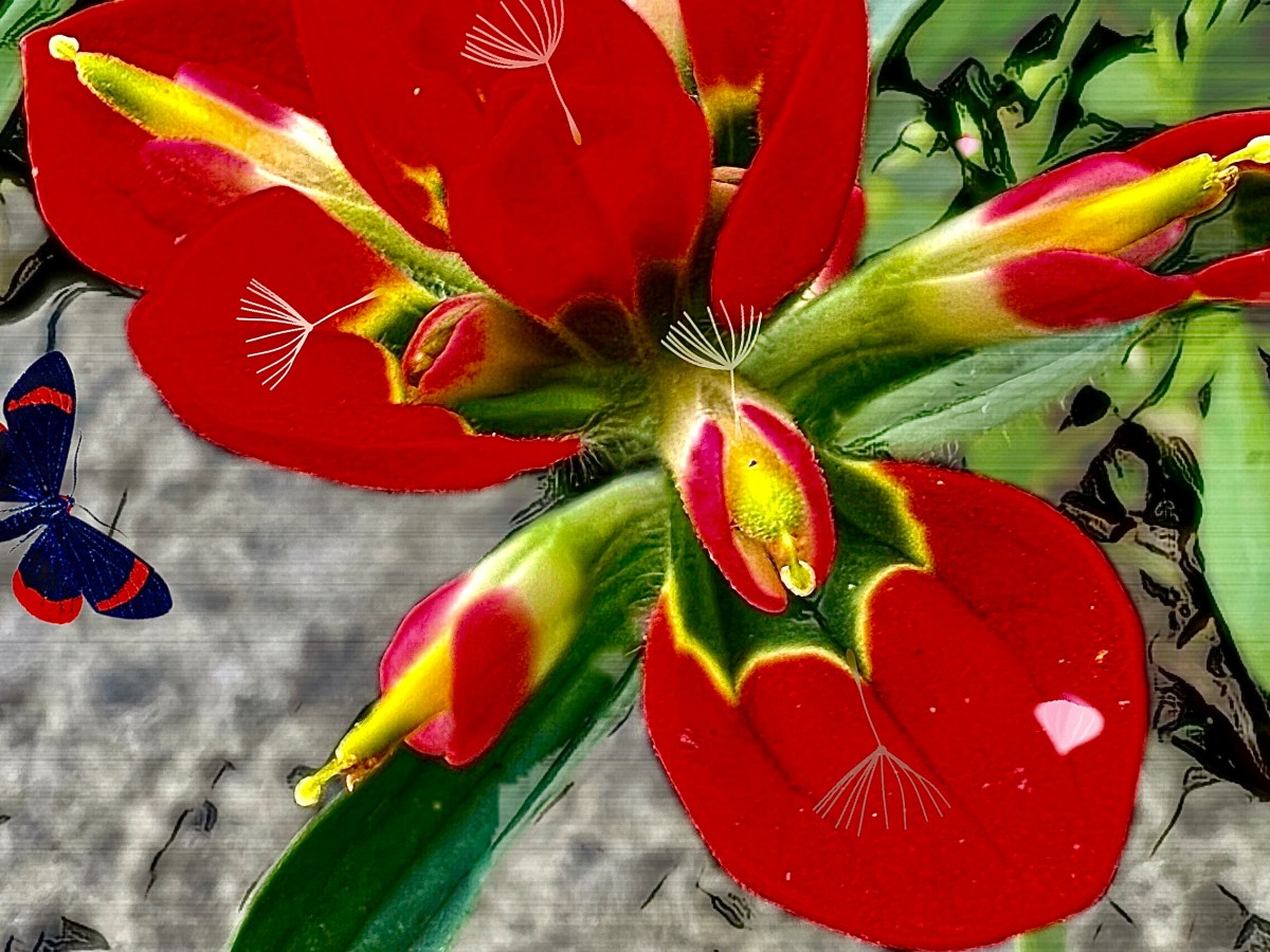 Morning Play: Or Another Use For&nbsp;Photographs